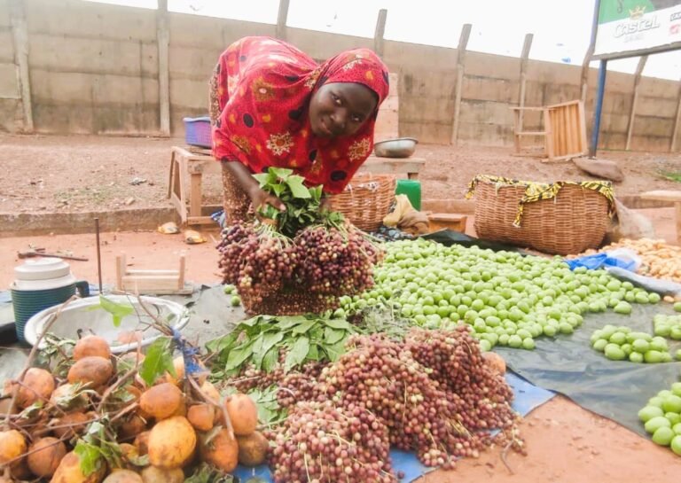 Vente de ''fruits sauvages'' : un commerce rentable pour des femmes à Ouagadougou 1