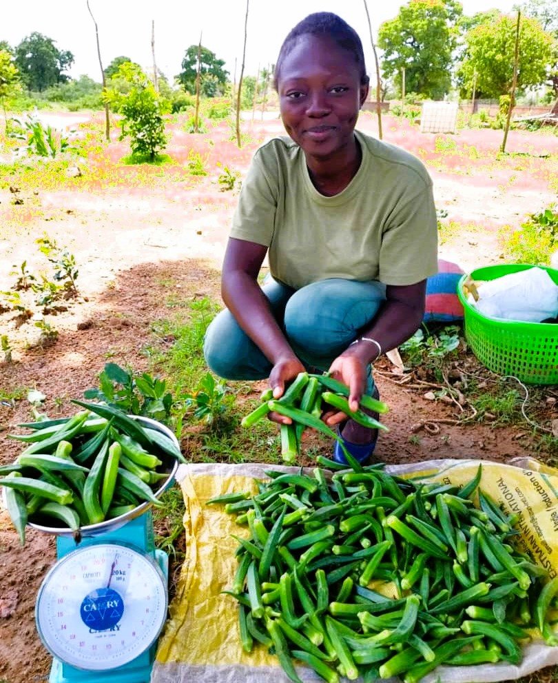 Sarah Ouédraogo : l’entrepreneure agricole qui cultive la tomate, le gombo, les persils …. 4