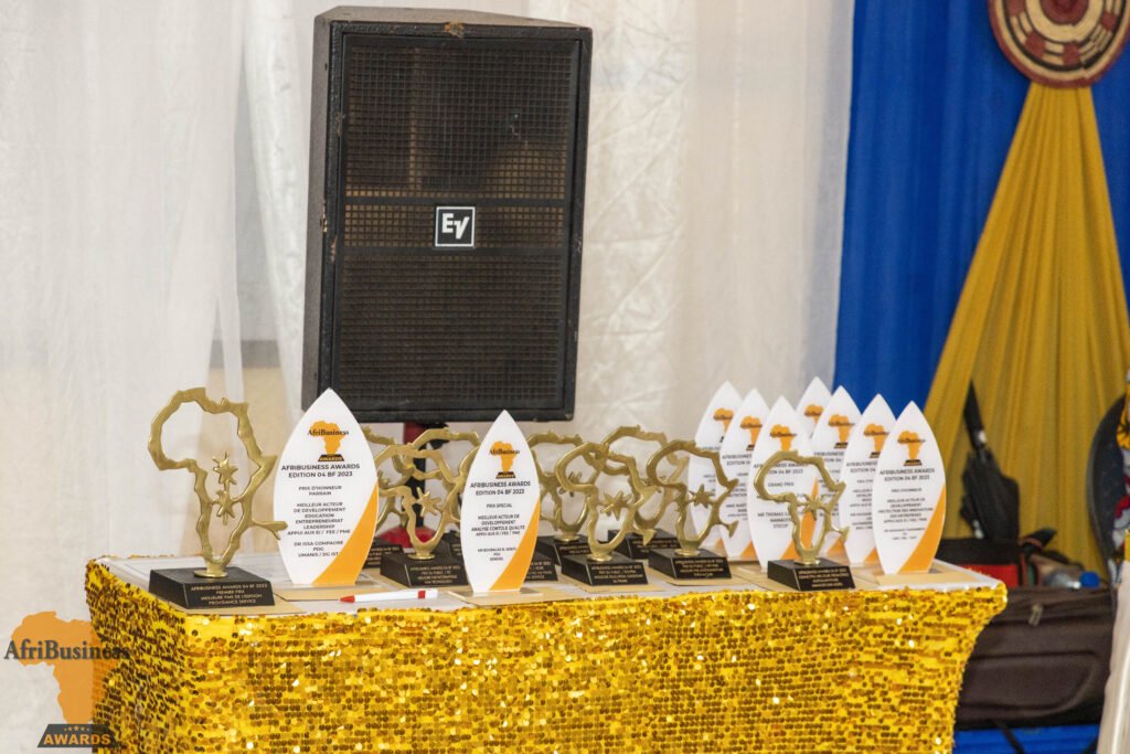 Afri Business Awards : plus d'une dizaine d’entreprises récompensées 2