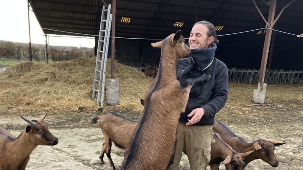 Delphine Serreau : L’éleveuse de chèvre surendettée qui a lancé une cagnotte en ligne et à récolter plus de 160 000 euros soit plus de 104 milliards FCFA 2