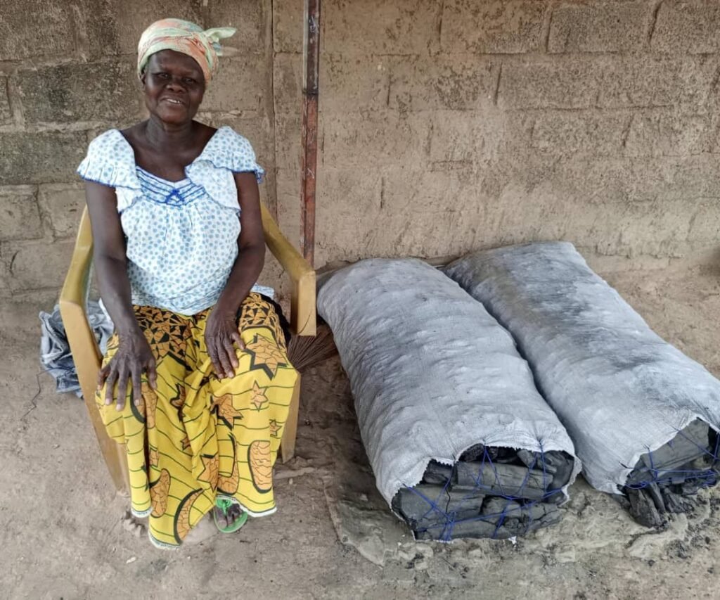 Ouagadougou: Vente de charbons, une activité génératrice de revenus pour des femmes 4