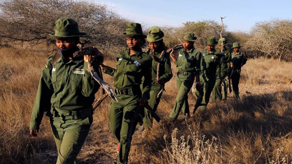 Kenya : Une équipe de protection de la faune sauvage de plus en plus féminine 2