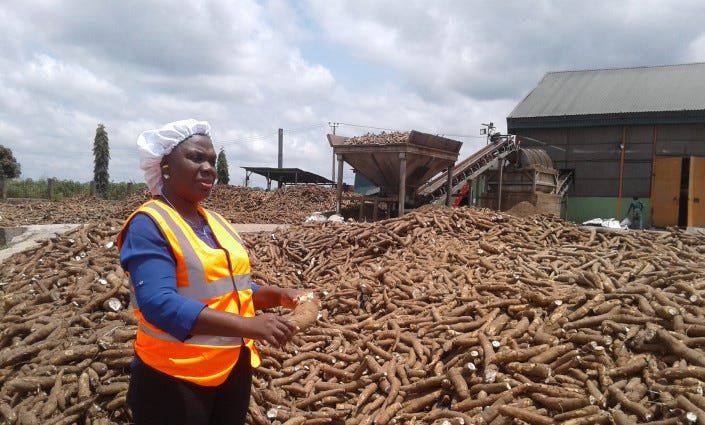 Yemisi Iranloye : L’entrepreneure qui révolutionne le secteur du manioc au Nigéria 1