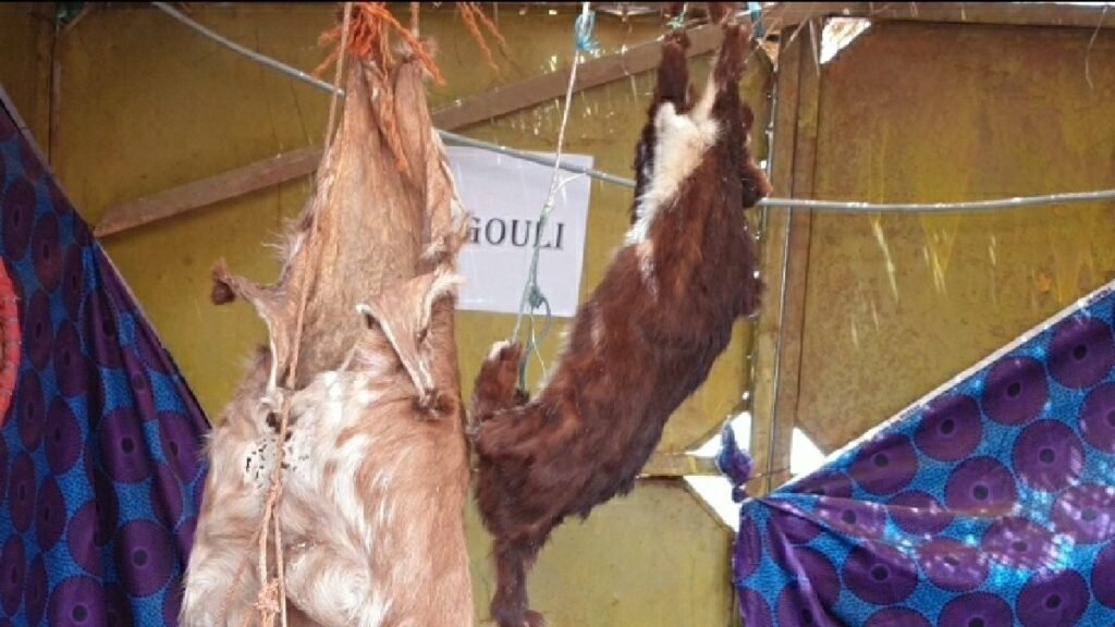 15 mai : « On peut être un bon religieux et suivre toujours la tradition », Seydou Malo 3