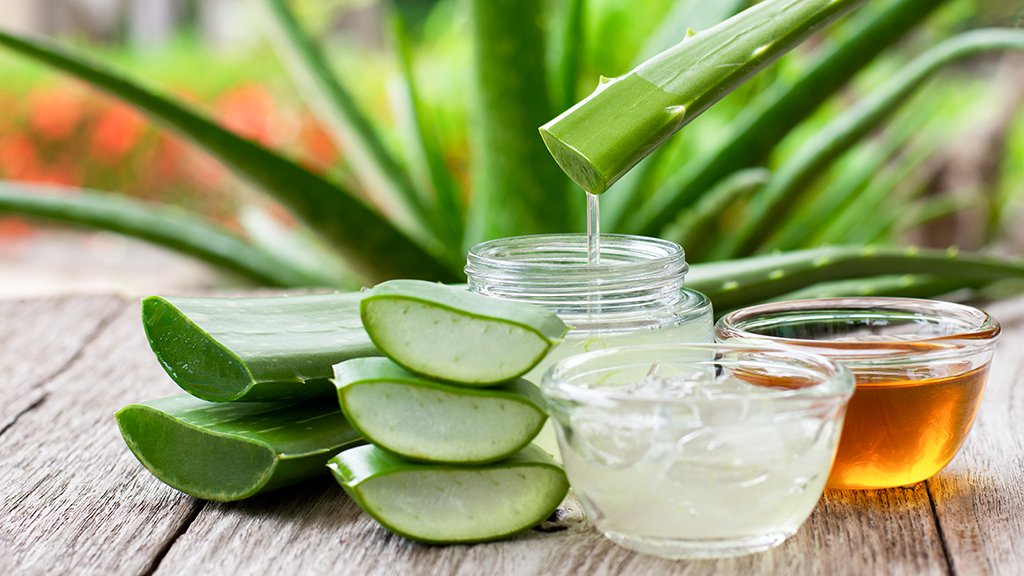 MoussoNewsAstuce : Decouvrez les bienfaits de l’aloe vera pour la peau 2