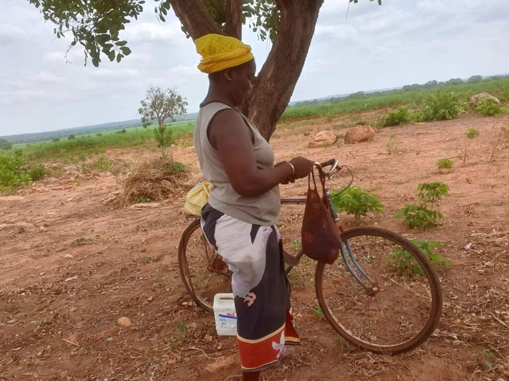 Bérégadougou : Aminata Souratié, une femme rurale au ''cœur de feu'' 4