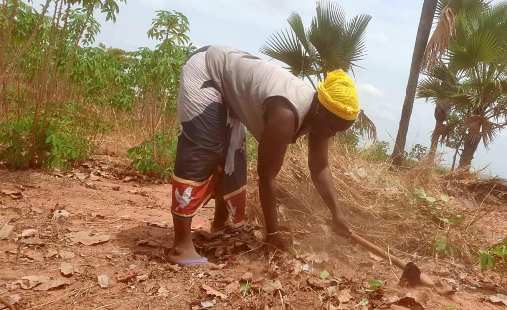 Bérégadougou : Aminata Souratié, une femme rurale au ''cœur de feu'' 3