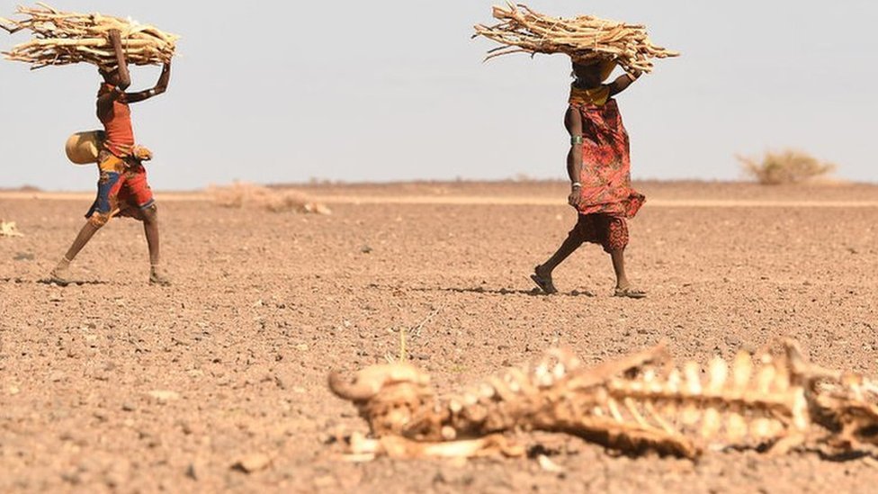 Le sahel en péril : La dégradation des terres et la sécheresse mènent à une crise alimentaire 2