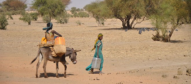 Le sahel en péril : La dégradation des terres et la sécheresse mènent à une crise alimentaire 3