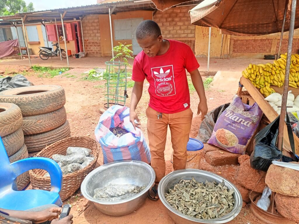 Baba Alpha Adama Dramer: Un informaticien reconvertit dans la vente de Kinkéliba à Ouahigouya 3