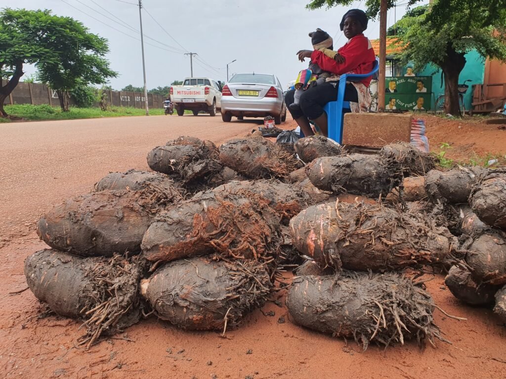 Le Taro : Une source de vie à Bobo-Dioulasso 3