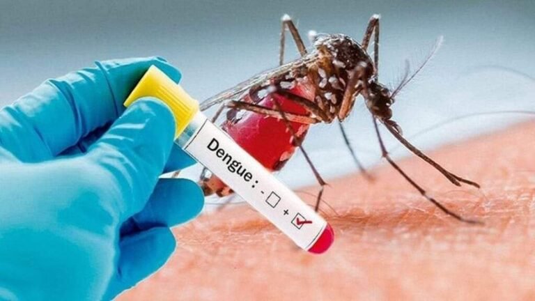 Dengue : L’urgence sanitaire persistant, la vigilance doit être de mise 9