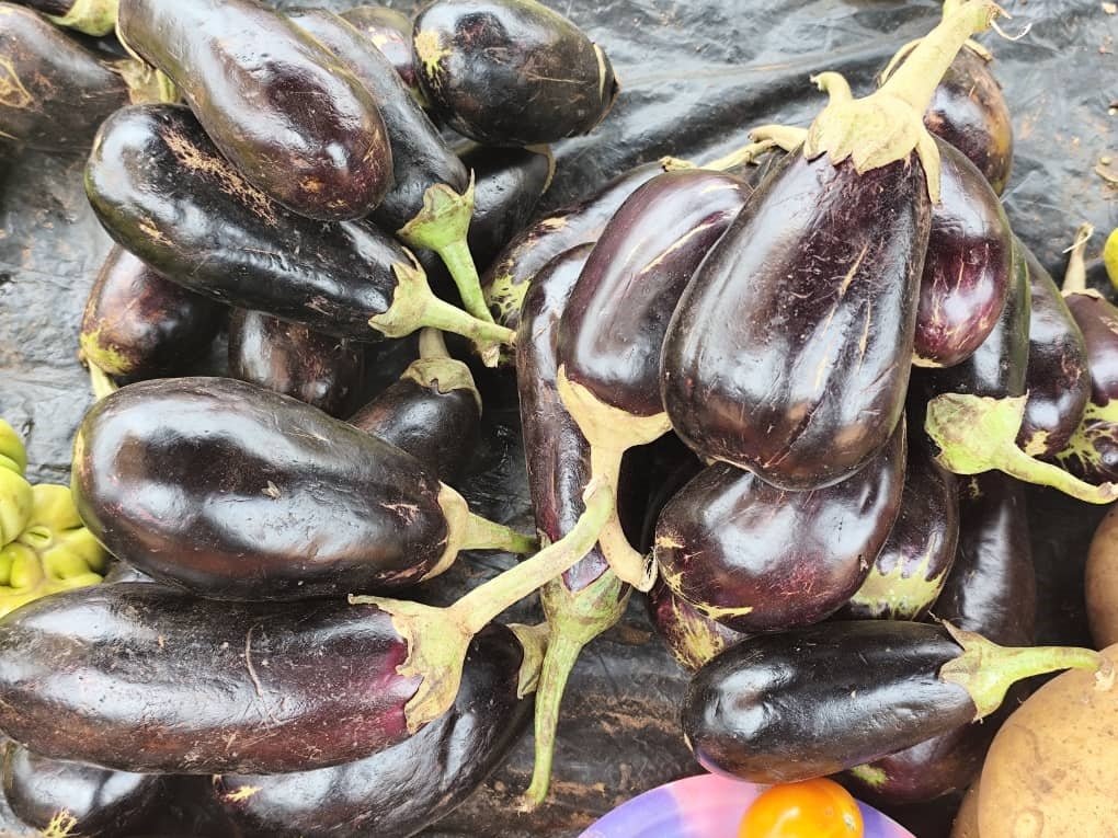 Aubergine : Le retour en quantité mais peu consommé 2