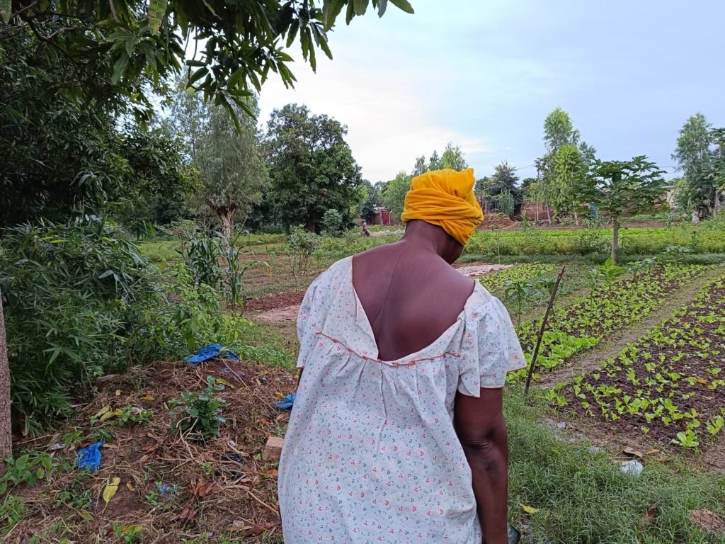 Maraîchage en saison pluvieuse : Résilience des femmes face aux inondations 3