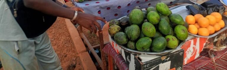 Ouahigouya : Fabrice abandonne les avocats et mandarines pour les cahiers 1