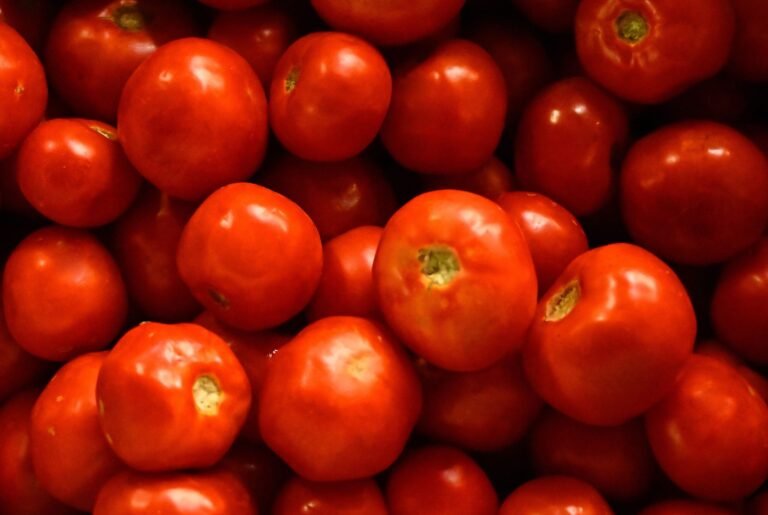 Tomates à Ouagadougou: De la rareté à l’abondance 5