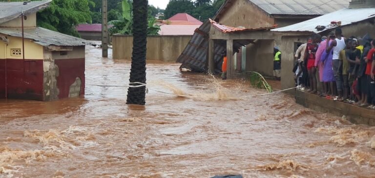 Guinée : 423 femmes enceintes et 724 allaitantes touchées par les inondations 8