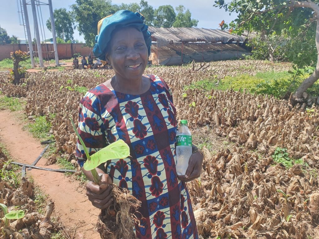 Sylvie Kassongo : Une pionnière de la culture de banane plantain au Burkina 2