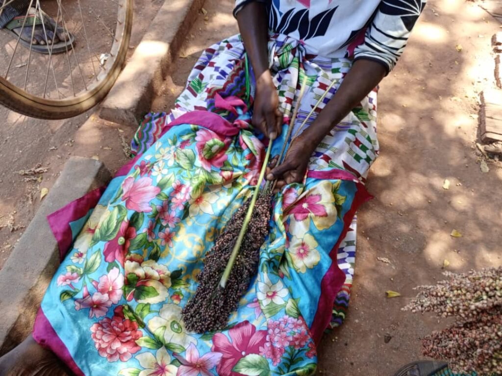 Les graines de sorgho: Une bonne affaire pour des femmes à Ouagadougou 7