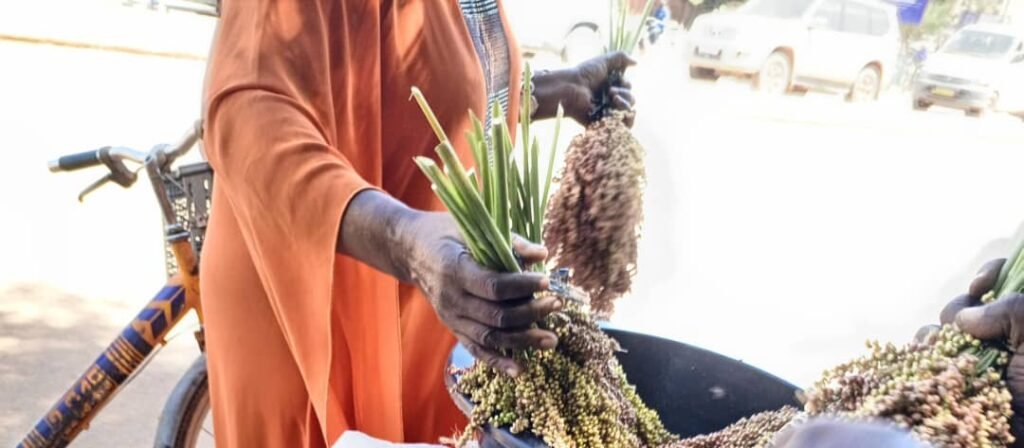 Les graines de sorgho: Une bonne affaire pour des femmes à Ouagadougou 4