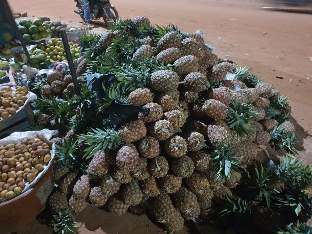 Bobo-Dioulasso : Djenèba, une commerçante d’ananas qui force l’admiration 2