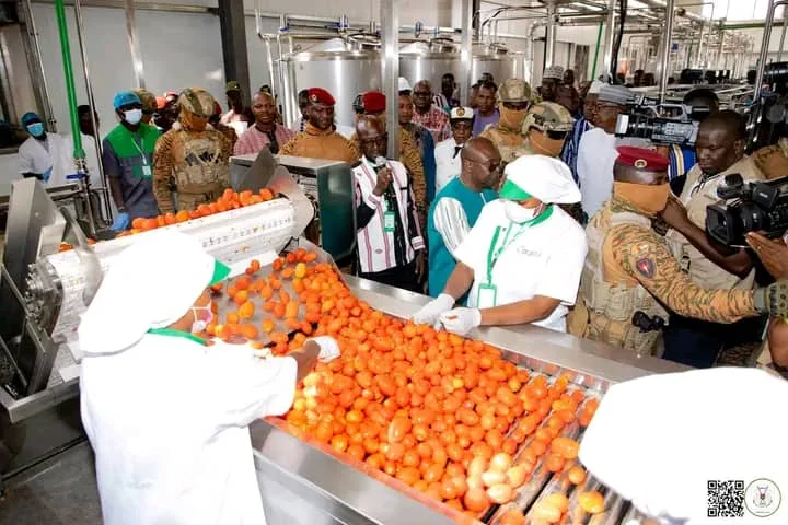 Burkina : Une deuxième usine de transformation de tomate à Yako 3