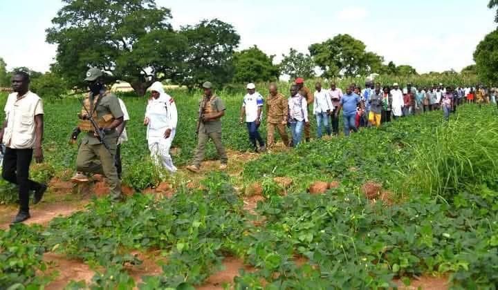 Agriculture: Un excédent notable et des mesures pour garantir l'approvisionnement intérieur 1