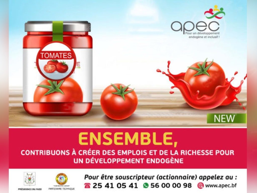 Burkina : Une deuxième usine de transformation de tomate à Yako 2