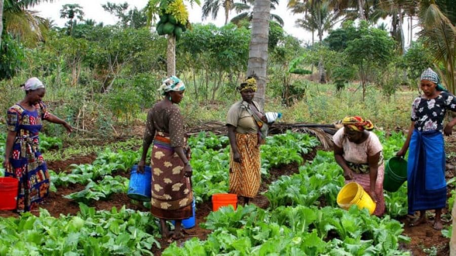 Burkina : Ces femmes à suivre en 2025 12