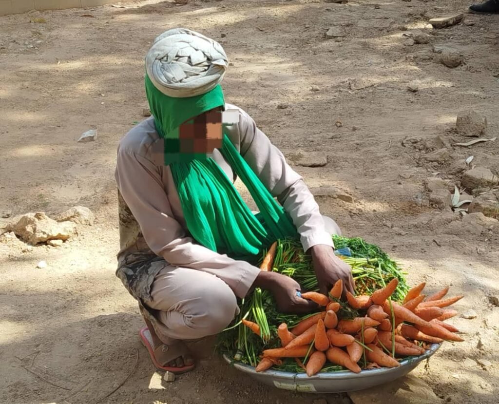 La carotte : La vedette des marchés et Yaars en période de sécheresse 4