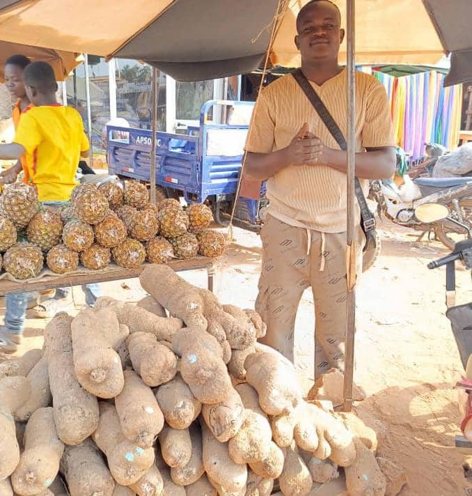 Igname : Ce légume se vend cher qu’en saison sèche 3